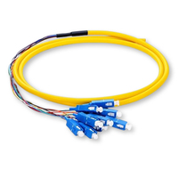 Cable de Fibra Óptica Pigtail SC/UPC de 12 Núcleos de Alta Calidad Apt en Oferta para FTTH