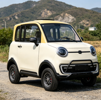 Mini voiture électrique tout-terrain, véhicule utilitaire électrique à 4 roues, SUV électrique compact, petit véhicule électrique tout-terrain