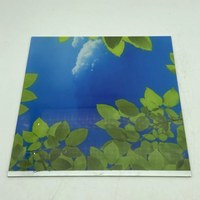 Kaca seni dekoratif 3mm 4mm 5mm kaca cetak sutra kaca desain cetak 3D kaca untuk jendela