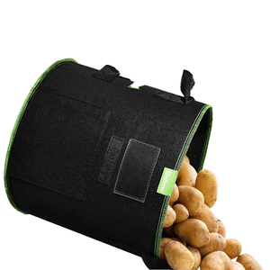 3 5 7 10gallon 100gal <span class=keywords><strong>Sac</strong></span> pour plantes <span class=keywords><strong>en</strong></span> tissu Sacs <span class=keywords><strong>de</strong></span> culture <span class=keywords><strong>de</strong></span> pommes <span class=keywords><strong>de</strong></span> <span class=keywords><strong>terre</strong></span> - Product Image 2