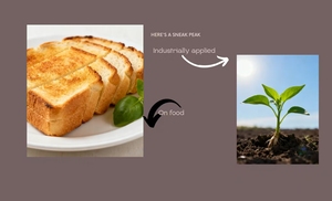 Bicarbonate <span class=keywords><strong>d</strong></span>'<span class=keywords><strong>ammonium</strong></span> (NH4HCO3) Pureté 99% Qualité Alimentaire Industrielle Agricole Engrais Levure de Boulanger Produit Chimique Marque Boyu - Product Image 4