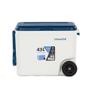 DAY 45L Large <b>Cooler</b> Box with Partition & Removable Dividers for Flexible Organization - Product Image 4