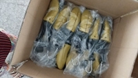 Embauchoir en plastique à longueur réglable pour maintenir les chaussures en forme