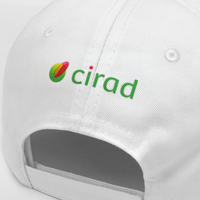 Casquette de baseball personnalisée à 5 panneaux de haute qualité Logo de presse à chaud Style américain avec logo brodé à bord incurvé pour les sports de course
