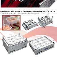 Conteneur alimentaire à emporter en plastique transparent à paroi mince de différentes tailles, boîte à lunch carrée, moulage par injection, personnalisé en usine