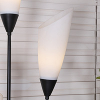 Lampadaire en verre design et abat-jour en forme de fleur, lampe d'étagère en fer moderne simple lampadaire LED noir