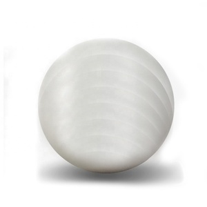 Ventes Directes d'usine De Haute Qualité Écologique <span class=keywords><strong>Petit</strong></span> 25cm Pilates Rebondissant Balle De Yoga - Product Image 3