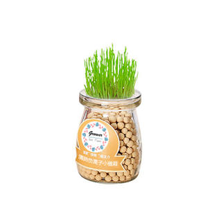 DIY Ion Négatif Petit <span class=keywords><strong>Pot</strong></span> Mini Enfants Plantation Hydroponique <span class=keywords><strong>Pot</strong></span> De Fleur Décoration De Table <span class=keywords><strong>Vanille</strong></span> Plantation - Product Image 1