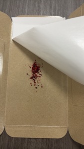 Piège à colle <span class=keywords><strong>pour</strong></span> <span class=keywords><strong>cafards</strong></span> pré-appâté personnalisable - Attrapeur multi-parasites efficace <span class=keywords><strong>pour</strong></span> l'intérieur/la cuisine (araignée, poisson argenté, grillon) - Product Image 6