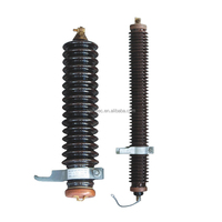 Parafoudres extérieurs en porcelaine à l'oxyde de zinc Shuangfeng, haute tension 24KV, Y10W-24KV, protection contre la foudre et mise à la terre