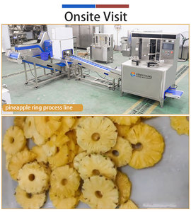 Customized Pineapple <b>Food</b> <b>Line</b> Pineapple Washing Peeling Cutting Drying Packing Machine for Pineapple <b>Process</b> Plant - Product Image 4