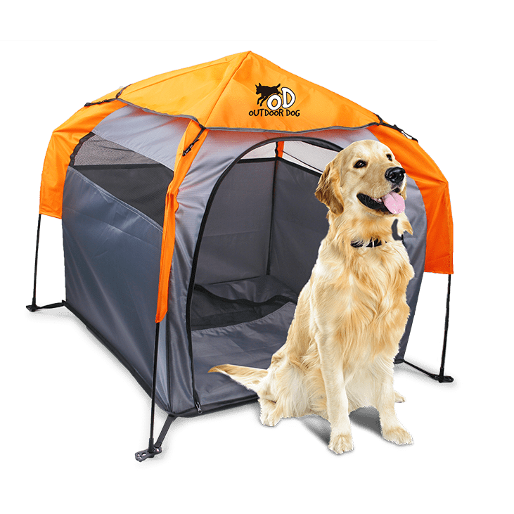 8388 Tente Pop-Up pour Chien