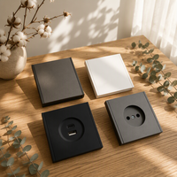 Prise murale française ignifuge de haute qualité avec ports USB et Type-C, norme UE, pour la rénovation de maisons et d'hôtels (vente en gros)