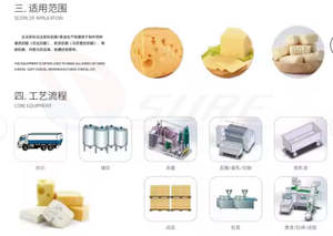 Projet clé en main Usine de traitement de <span class=keywords><strong>la</strong></span> mozzarella, y compris l'étirement, le moulage et le saumurage - Product Image 6