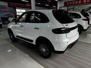 Vehículo Eléctrico de Nueva Energía con Sistema de Voz en Inglés, Baja Velocidad, Conducción Derecha y Gran Espacio - Product Image 4