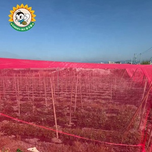 <span class=keywords><strong>Malla</strong></span> de Protección <span class=keywords><strong>para</strong></span> Cultivos Garden Bee, Resistente a los Insectos y a los Rayos UV, de Alta Resistencia - Product Image 3