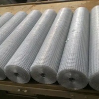 Fil de clôture en acier à faible teneur en carbone en PVC pour éleveurs de volailles, filet hollandais pour les vergers, fil de clôture soudé, cages à volailles, maille personnalisée