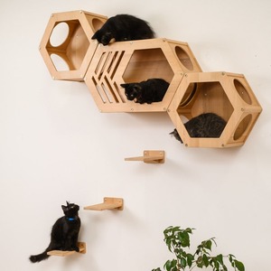 Étagères murales modernes pour chats, en bois et en forme d'arbre, avec marches - Product Image 3
