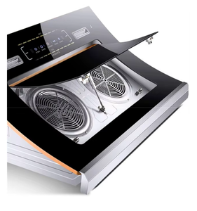 Estufa de <span class=keywords><strong>Gas</strong></span> inteligente S1 de 5000W, Cocina eléctrica integrada de <span class=keywords><strong>Gas</strong></span> <span class=keywords><strong>Natural</strong></span> de bajo consumo para uso doméstico, fuente de alimentación Manual de nivel 1 - Product Image 3