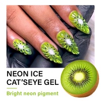 XGMNAILS Vernis Gel UV Effet Œil de Chat Néon Sans TPO, Collection Été Fruits, Prix Usine, Vente Chaude