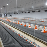 Bâtiment avicole préfabriqué en structure acier, poulailler automatique pour poulets de chair et pondeuses