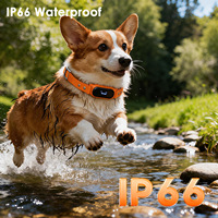 Localisateur intelligent pour animaux de compagnie, étanche, avec suivi de santé en temps réel, plaque d'identification électronique, traceur anti-perte pour chats et chiens