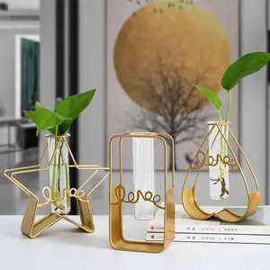 Nordic Metal Gold Flower Pot Hydroponic Plant Test Tube Plant Pot Multi Design Home Decor Metal Frame Vase