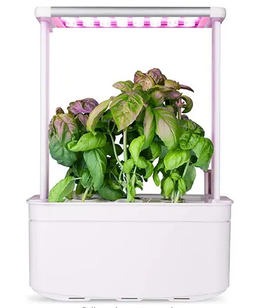 Mới đến mô hình hydroponics thông minh thông minh trồng vườn phát triển ánh sáng LED trong nhà ánh sáng sân vườn, nhà bếp vườn với bộ đếm thời gian F