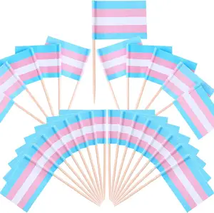 Transgender bendera pelangi tusuk gigi Topper Cupcake kayu bendera Mini untuk dekorasi pesta