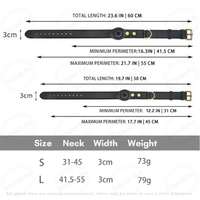 Collier de chien en cuir véritable Apple Air Tag, collier de chien étanche de qualité supérieure, collier AirTag