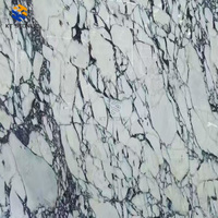 Dalle de marbre Calacatta Viola naturel de qualité supérieure, base blanche avec veines noires prononcées pour projets de murs et de comptoirs de villas de luxe