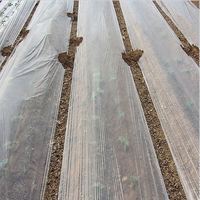 Film réfléchissant de paillis de feuille de paillage en plastique biodégradable pour la couverture de sol d'agriculture