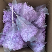 Produsen Yunnan Bunga Hydrangea Kering Berkualitas Baik yang Diawetkan dengan Gliserin Putih/Warna-warni, Bunga Kering Kustom untuk Pernikahan, Perlengkapan DIY