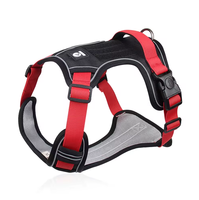 Fournitures pour animaux de compagnie : Ensemble laisse et harnais pour chien, personnalisable avec logo de marque, harnais gilet anti-traction de luxe pour chiens de taille moyenne à grande