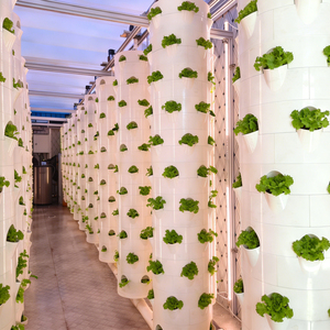 <span class=keywords><strong>Torre</strong></span> de Cultivo Hidropónico Automática Ytinghui con Bomba Modelo 005K para Cultivo en Agua Profunda y Riego por Goteo - Product Image 1