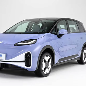 2024 ARCF-OX Koala S PRO AIR Extreme EV SUV Guida a Sinistra AWD Batteria al Litio Basso Consumo Energetico 120Kw Veicolo a Nuova Energia - Product Image 1