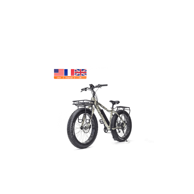 OEM Cargo Ebike 9 Speed 48V 500W Highest 750W Powerful Lithium Battery Electric Bike With Rear Rack