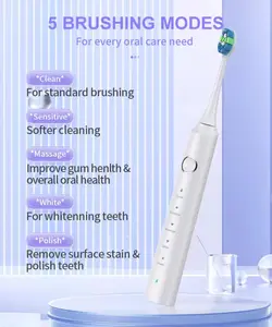 Fabricant de brosses à dents électriques OEM, brosse à dents intelligente rechargeable sans fil pour adulte, brosse à dents électrique sonique