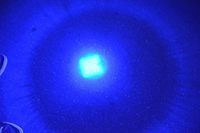 Senter LED Biru dengan Klip Fokus Dapat Disesuaikan Senter LED 450nm Saku Paduan Aluminium Sinar Biru Jarak Jauh untuk Berburu Memancing