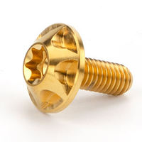 Vis en titane personnalisées M6 Gr5 M10 Tête de disque Gr5 M8 Vis en titane pour moto Vis en titane M6 M3