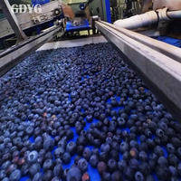 Exportprijs Chinese vruchten voor smoothies en desserts/Topkwaliteit Beste prijs Gehele diepvriesvruchten Groothandel Verse IQF Diepvries Bosbessen