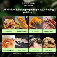 Hagedis Reptiel Gekko Fruitpoeder Probiotica Voedzame Puree voor Blauwtong & Leeuwenmanen Draken Drop Shipping