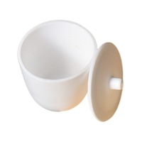 Fabricant Custom Lab 30ml 50ml 100ml 250ml Résistance à la corrosion Tétrafluoroéthylène Tasse Bécher PTFE avec couvercle