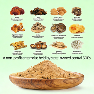 OEM Mezcla de Melena de León, Maitake, Chaga, Cordyceps, <span class=keywords><strong>Ganoderma</strong></span> Reishi, Extracto de Hongos en Polvo, Fórmula Multihongos, Marca Privada - Product Image 2