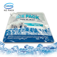 Sac isotherme Doypack personnalisé en PE avec bec verseur latéral pour la cryothérapie, sacs de gel réutilisables pour congélateur