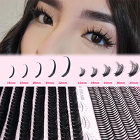 Faux cils DIY en grappe, style féerique à talon pointu, avec picots améliorés, pour cils en plastique noir 100D/80D
