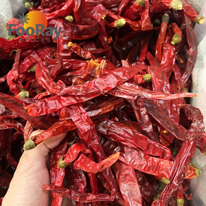 Pimiento Rojo Seco en Bolsa AD, Procesamiento Crudo, 10 kg, Variedad de Pimientos Secos - Product Image 1