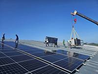 Panel Solar Monofásico de Alta Eficiencia de Nivel 1, 700W 720W 730W 750W, Módulo Fotovoltaico de 132 Celdas para Sistema de Energía Solar en Techo Conectado a la Red