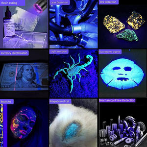 Détecteur d'urine de poche pour animaux de compagnie et colle UV durcissant 365nm LED lumière noire lampe de poche extérieure miroir noir Ultra violet lampes torches - Product Image 6
