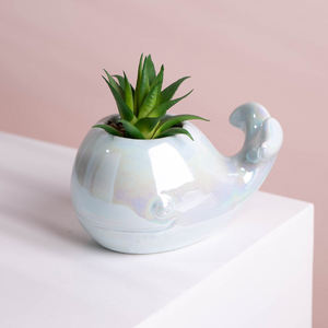 Mini plantes artificielles en <span class=keywords><strong>pot</strong></span>, décoration de bureau, fausses plantes en plastique, <span class=keywords><strong>baleine</strong></span> en céramique, 1 pièce - Product Image 2